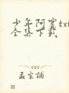 少年阿宾txt全集下载