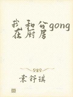 我和公gong在厨房封面