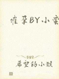 催孕BY小蛮腰