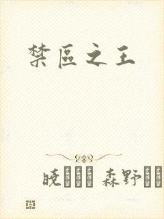 禁区之王封面