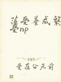 荡受养成系统总受np