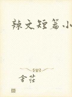 辣文短篇小说