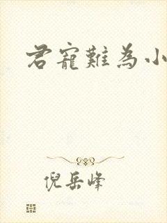 君宠难为小说
