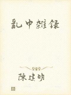 乱中杂录