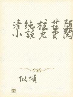 清纯校花堕落记小说免费阅读