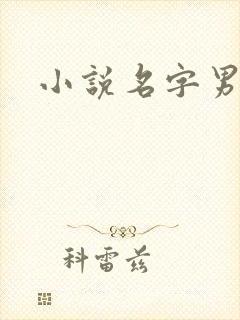 小说名字男生