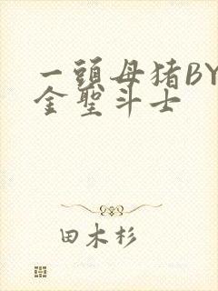 一头母猪BY黄金圣斗士封面