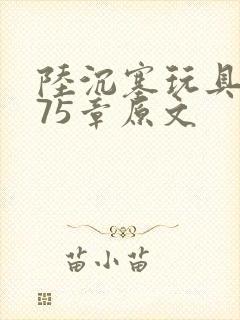 陆沉塞玩具高速75章原文