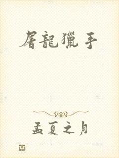 屠龙猎手