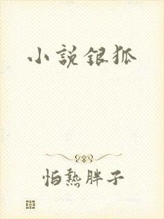 小说银狐