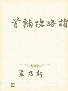 首辅攻略指南