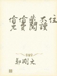 偷偷藏不住小说免费阅读