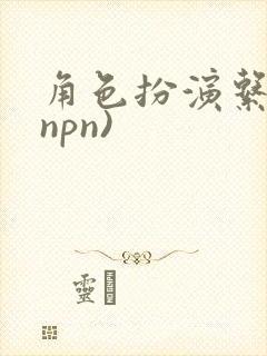 角色扮演系统(npn)封面
