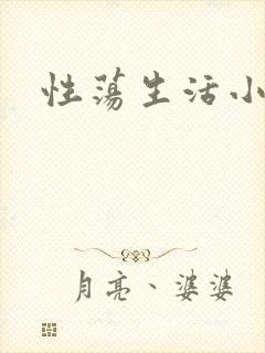 性荡生活小说