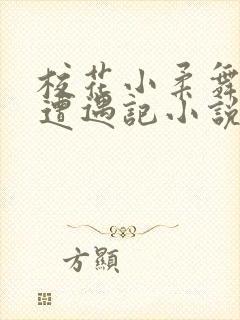 校花小柔舞蹈室遭遇记小说