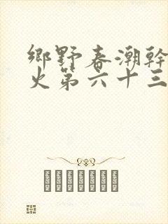 乡野春潮干柴烈火第六十三章