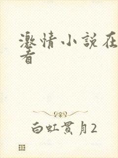 激情小说在线观看封面