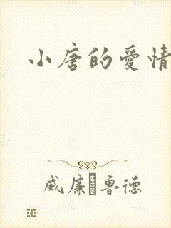 小唐的爱情史
