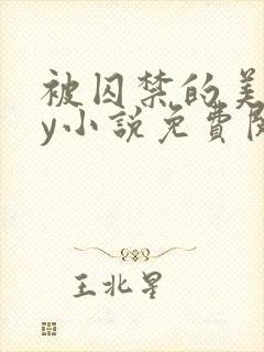 被囚禁的美人by小说免费阅读