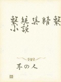 系统集精系统 小说封面