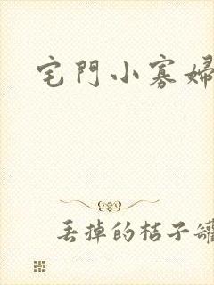 宅门小寡妇