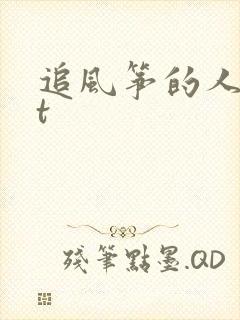 追风筝的人txt封面