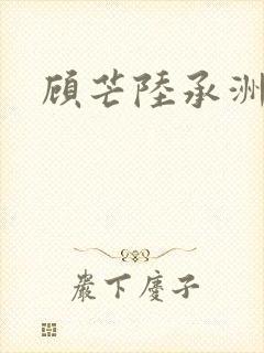 顾芒陆承洲