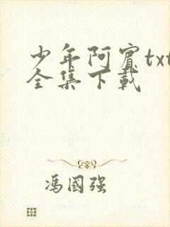 少年阿宾txt全集下载封面