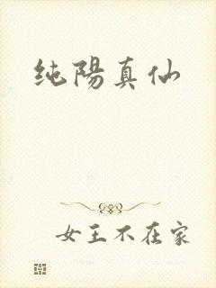 纯阳真仙