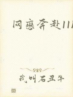 网恋奔赴11h
