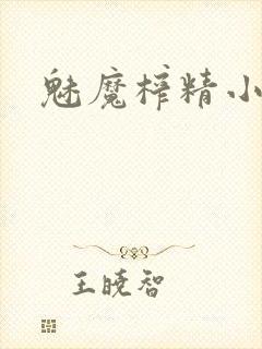 魅魔榨精小说