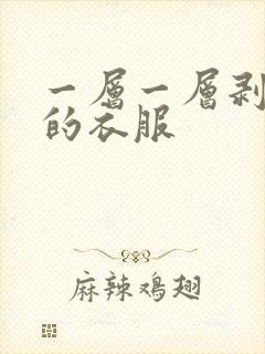 一层一层剥开你的衣服