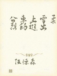 公车上雪柔被猛烈的进出