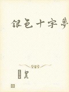 银色十字梦封面
