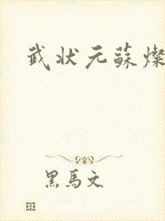 武状元苏灿封面