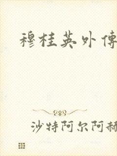 穆桂英外传