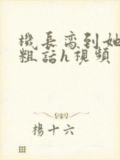 机长脔到她哭h粗话h视频