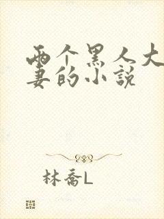两个黑人大战娇妻的小说封面