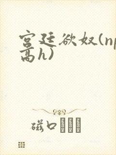 宫廷欲奴(np高h)