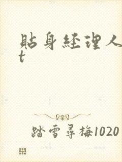 贴身经理人txt