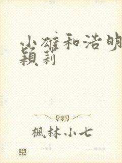 小雄和浩明夹击颖莉封面