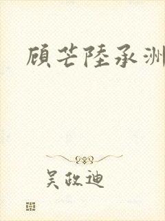 顾芒陆承洲封面