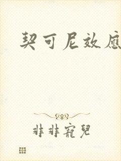 契可尼效应封面