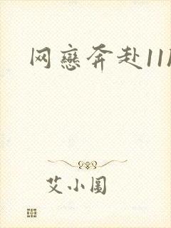 网恋奔赴11h封面