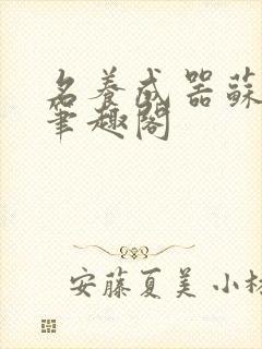 名养成器苏沫沫笔趣阁