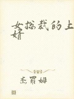 女总裁的上门女婿封面
