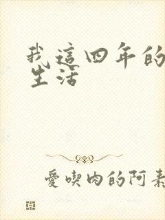 我这四年的奴隶生活封面
