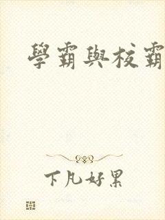 学霸与校霸