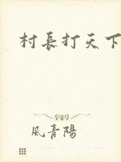 村长打天下