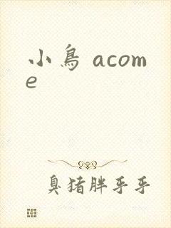 小鸟 acome封面